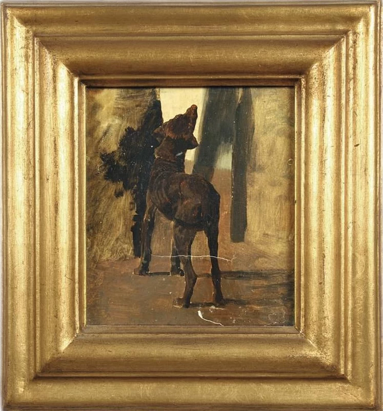 Cane nero